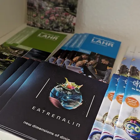 Nahe Europa Park 라어